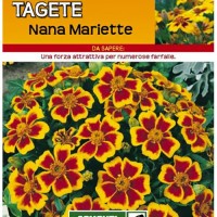 Sementi Dotto - Fiori - Tagete Nana Mariette