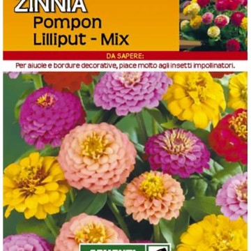 Sementi Dotto - Fiori - Zinnia Pompon Lilliput Mix