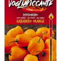 Sementi Dotto Peperoncini - Habanero Orange