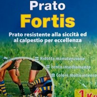 Prato Fortis - Love Life