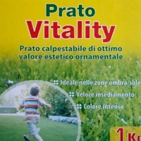 Prato Vitality - Love Life