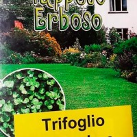 Tappeto Erboso - Trifoglio Nanissimo