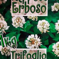 Tappeto Erboso - Trifoglio Nano