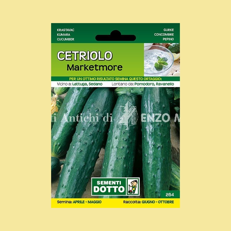 Cetriolo - Marketmore