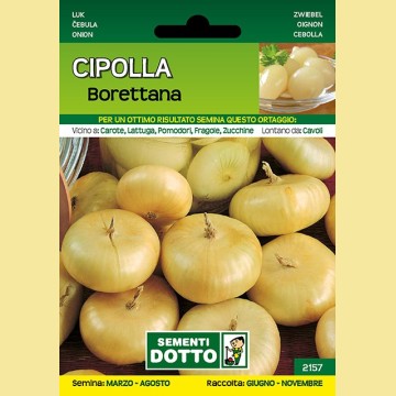 Cipolla - Borettana