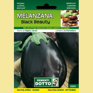 Melanzana - Black Beauty