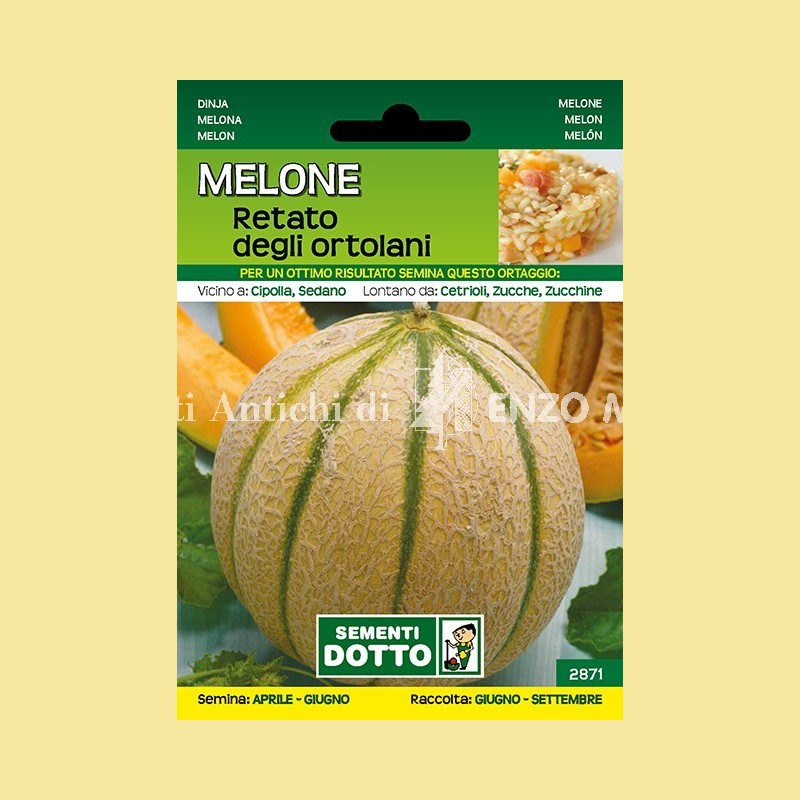 Melone - Retato degli Ortolani