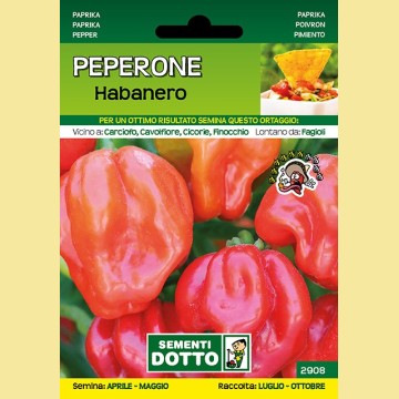 Peperone - Habanero