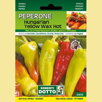 Peperone - Hungarian Yellow Wax-Hot