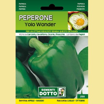 Peperone - Yolo Wonder