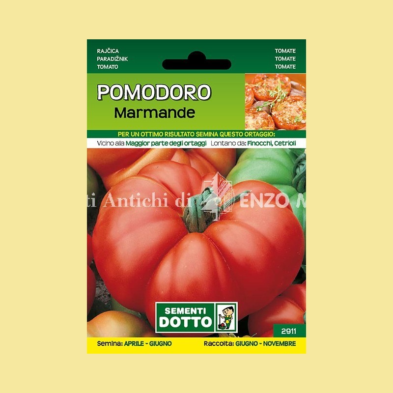 Pomodoro - Marmande