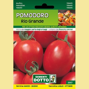 Pomodoro - Rio Grande