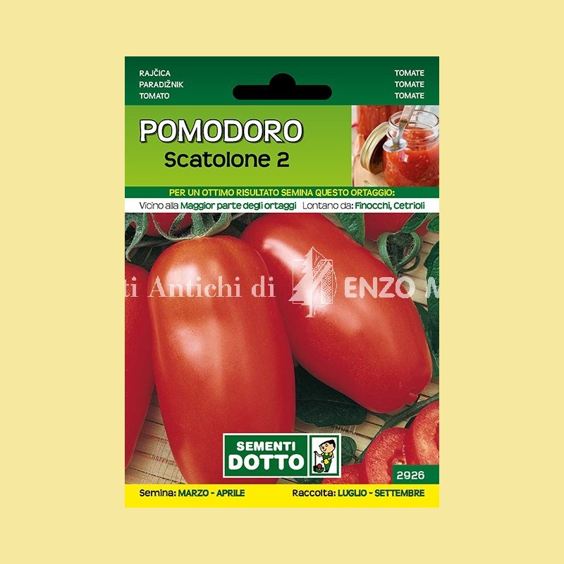 Pomodoro - Scatolone 2
