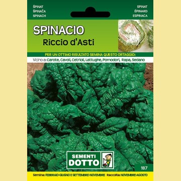 Spinacio - Riccio d'Asti