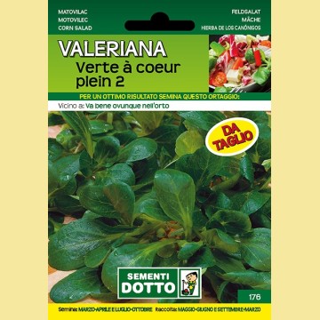Valeriana - Verte à Coeur Plein 2