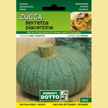 Zucca - Berretta Piacentina