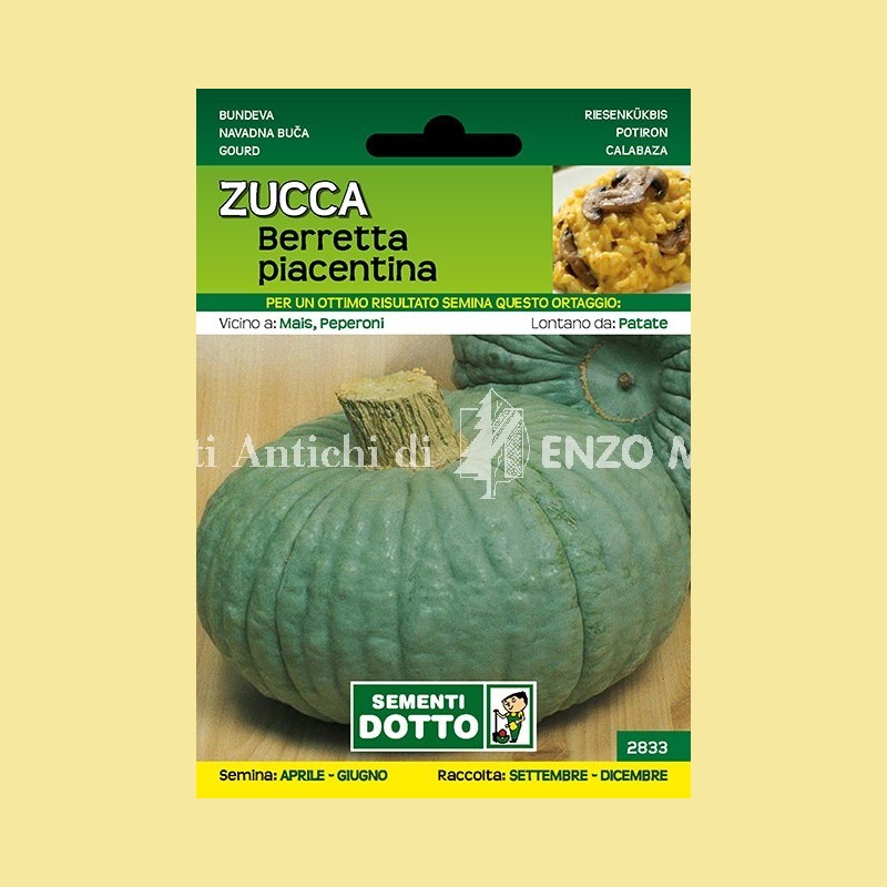 Zucca - Berretta Piacentina