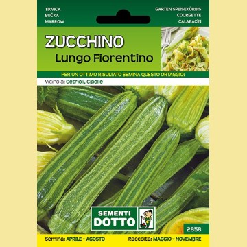 Zucchino - Lungo Fiorentino