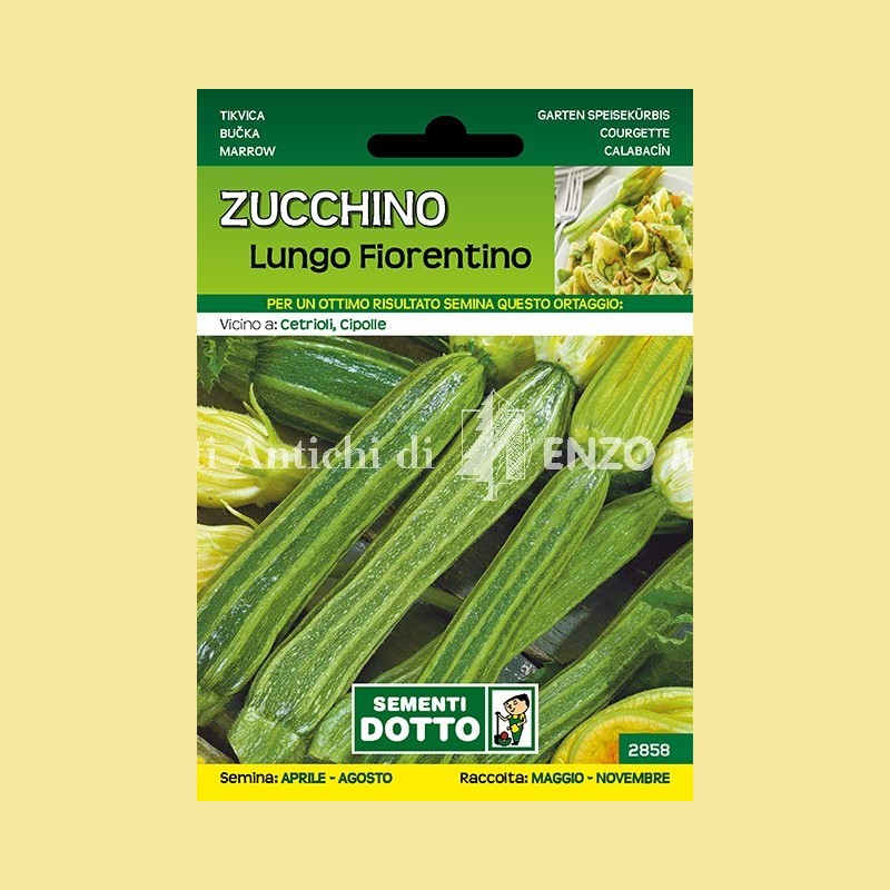Zucchino - Lungo Fiorentino