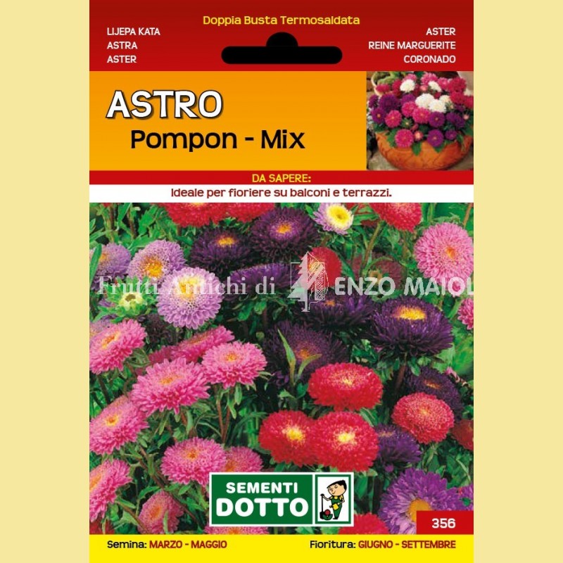 Fiori - Astro Pompon Mix