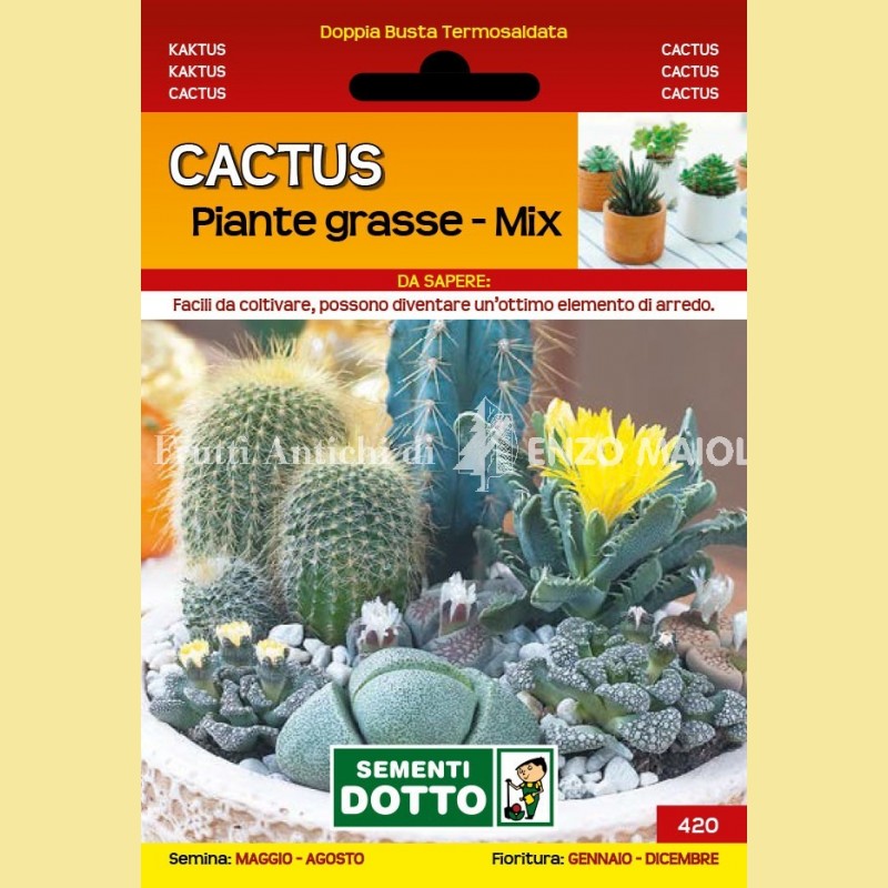 Fiori - Cactus - Piante Grasse Mix