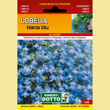Fiori - Lobelia Nana Blu