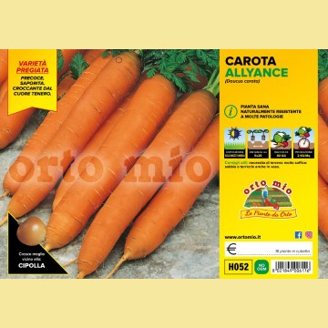 Carota nantese Soprano F1/Bolero F1 - 16 piante - Orto Mio