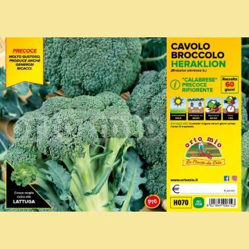 Cavolo broccolo calabrese precoce Heraklion F1 - 6 piante - Orto Mio
