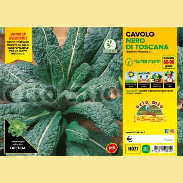 Cavolo nero di Toscana Yurok F1 - 6 piante - Orto Mio
