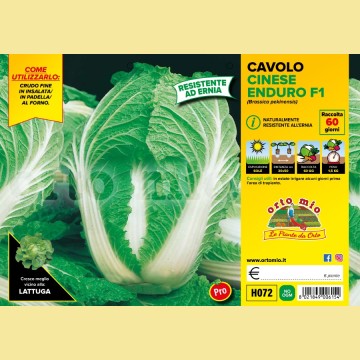 Cavolo cinese Enduro F1 - 6 piante - Orto Mio