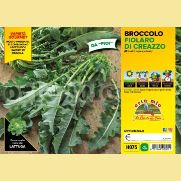 Cavolo broccolo da getti Fiolaro di Creazzo - 6 piante - Orto Mio