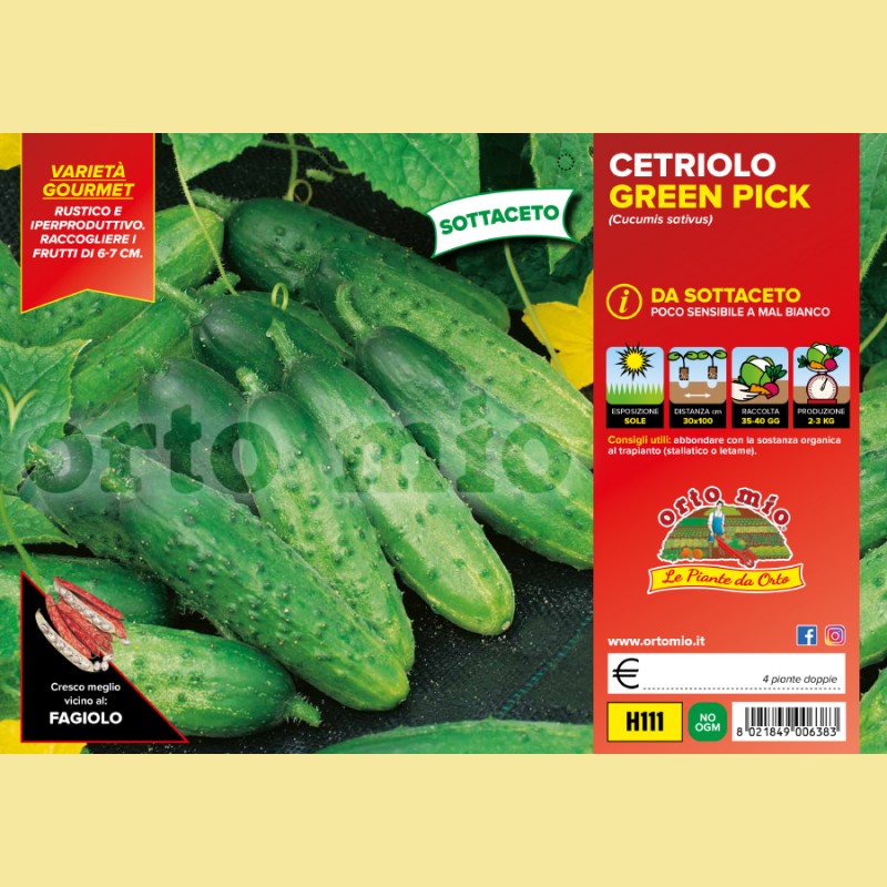 Cetriolo da sottaceto Green Pick F1 - 4 piante - Orto Mio