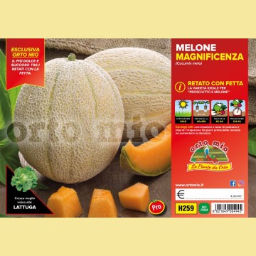 Melone retato con fetta Magnificenza F1 - 4 piante - Orto Mio