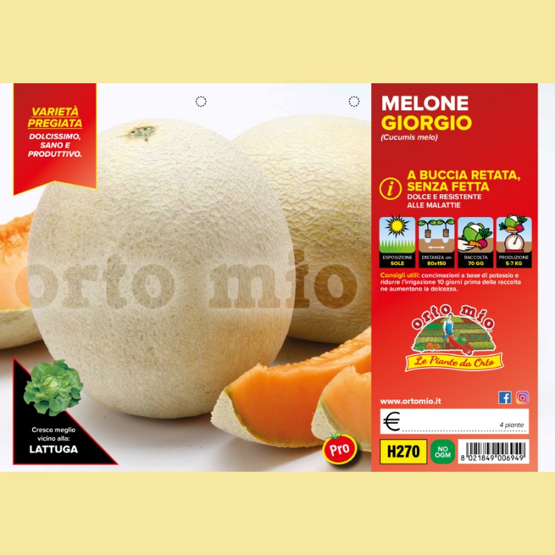 Melone retato senza fetta Giorgio F1 - 4 piante - Orto Mio