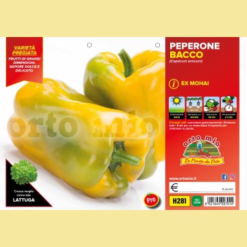 Peperone giallo Mohai F1 - 6 piante - Orto Mio