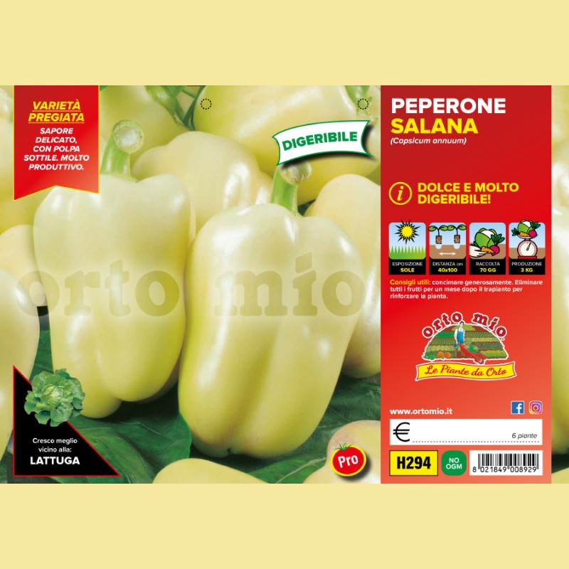 Peperone digeribile Citrino salana Laguna F1 - 6 piante - Orto Mio