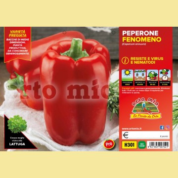 Peperone rosso Fenomeno F1/Macio F1 - 6 piante - Orto Mio