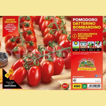 Pomodoro datterino Bombardino F1 - 6 piante - Orto mio