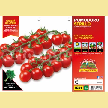 Pomodoro ciliegino dolce Strillo F1 - 6 piante - Orto Mio