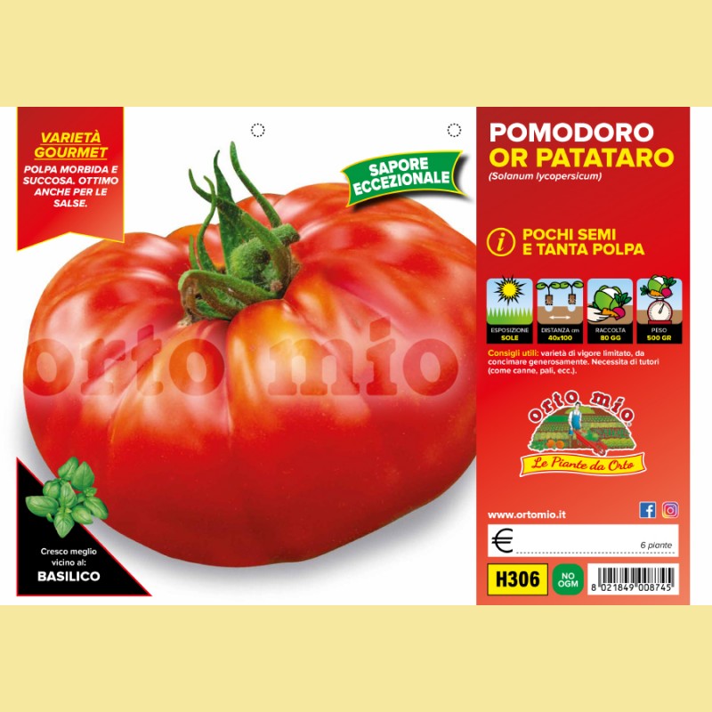 Pomodoro gigante OR Patataro - 6 piante - Orto Mio