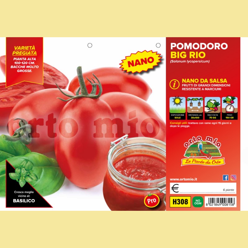 Pomodoro da salsa (nano) ovale Big Rio F1 - 6 piante - Orto Mio