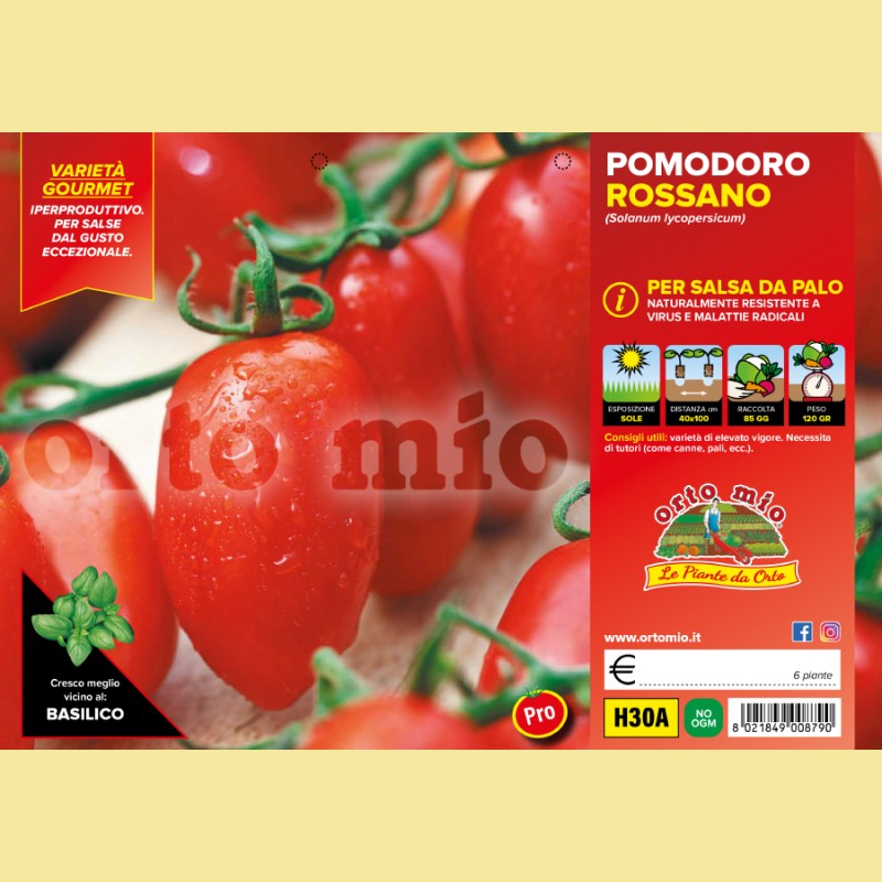 Pomodoro San Marzano e ovale da salsa da palo Rossano F1 - 6 piante - Orto Mio
