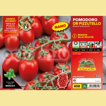 Pomodoro determinato (nano) regina OR Pizzutello - 6 piante - Orto Mio