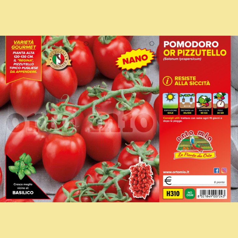 Pomodoro determinato (nano) regina OR Pizzutello - 6 piante - Orto Mio