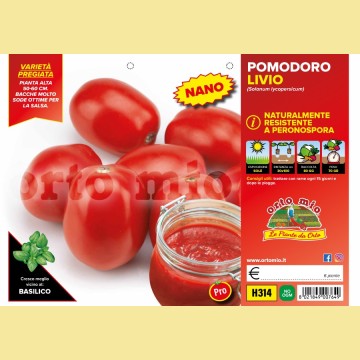 Pomodoro da salsa (nano) roma Livio F1 (sostituisce Dawil) - 6 piante - Orto Mio