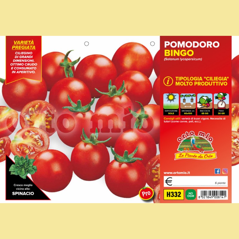 Pomodoro ciliegino Bingo F1 - 6 piante - Orto Mio