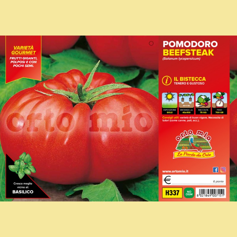 Pomodoro gigante Beefsteak F1 - 6 piante - Orto Mio