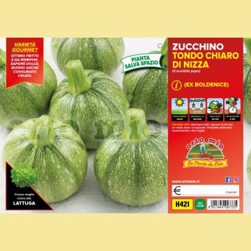 Zucchino tondo chiaro Boldenice F1/Rondo F1 - 4 piante - Orto Mio