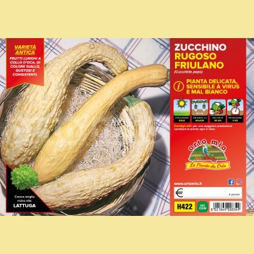 Zucchino rugoso friulano - 4 piante - Orto Mio
