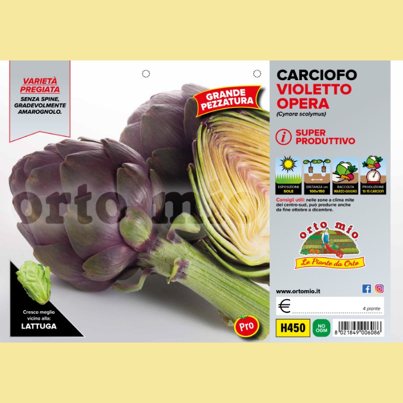 Carciofo violetto Opera F1 - 4 piante - Orto mio